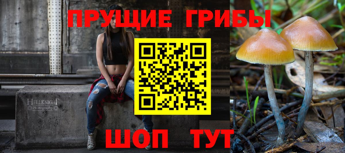 Псилоцибиновые грибы GOLDEN TEACHER  Вход с VPN  Новороссийск  Галлюциногенные грибы Psilocybe 